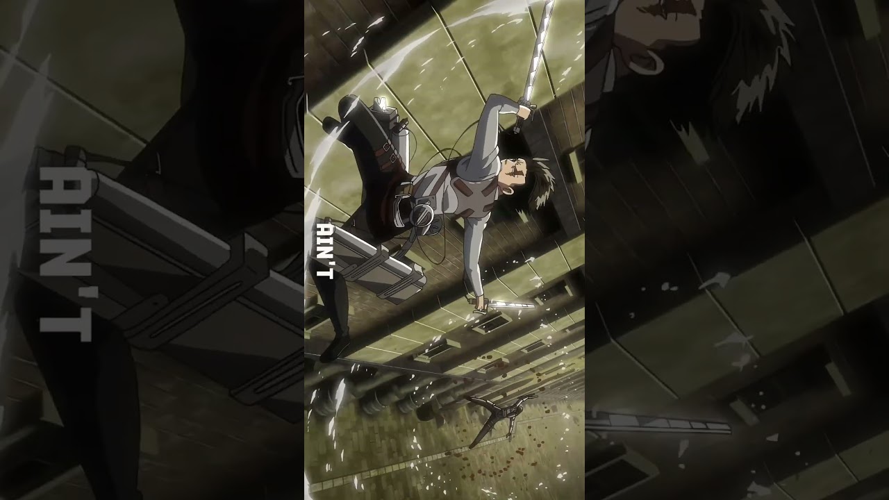 levi edit