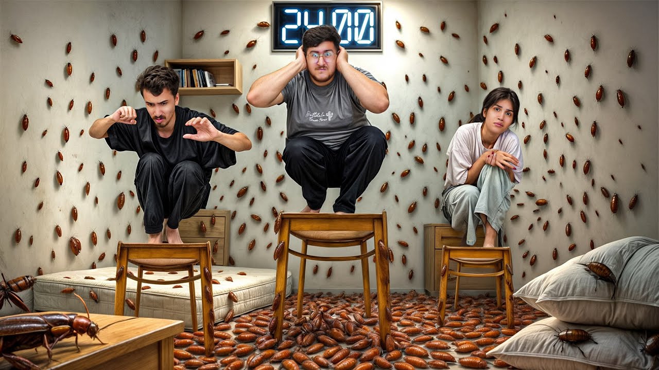 سعی کن فرار نکنی تا برنده بشی 🪳🏆