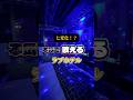 熱狂ライブがホテルでできる!?#ホテル #ラブホテル#ホテルマーレ#カップル#大阪#岸和田#ココイケ不動産#夜のホテル図鑑