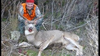 Long Range Mule Deer Buck Hunt - 670 Yards - 270 Wsm