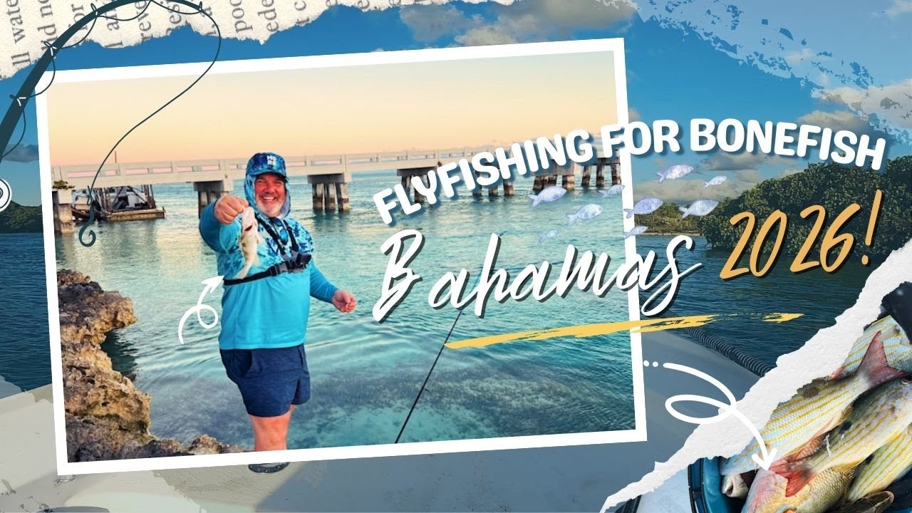 Business Lessons Don’t Always Happen in the Boardroom 