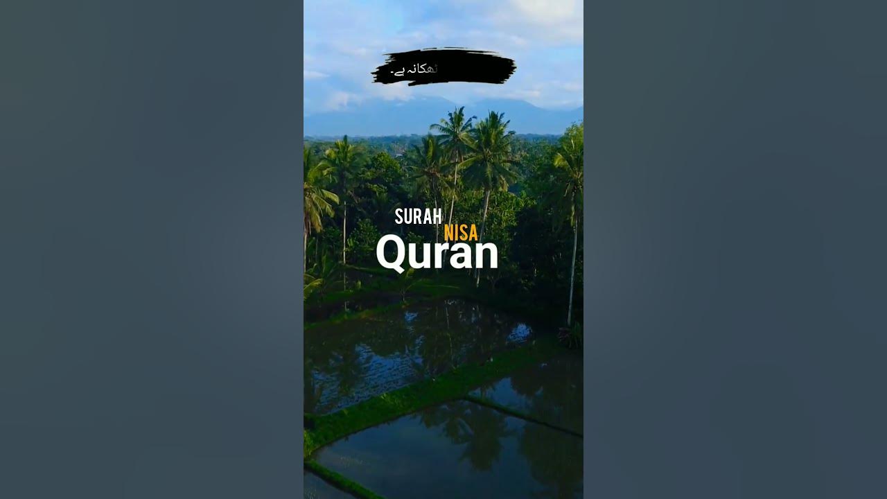 surah-nisa-only-urdu-translation-in-urdu-hindi-tarjuma