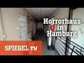 Horror-Haus in Hamburg: Leben zwischen Schimmel und Dreck