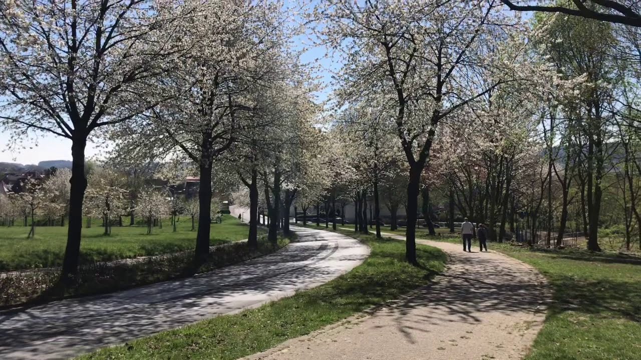 Hagen Am Teutoburger Wald