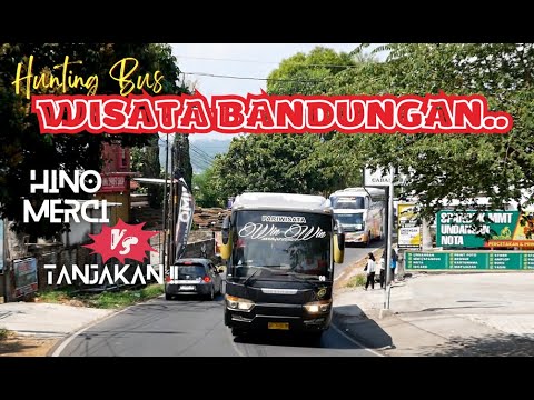 Drama di Tanjakan: Mengupas Fenomena Video Bus Pariwisata di Medan Terjal