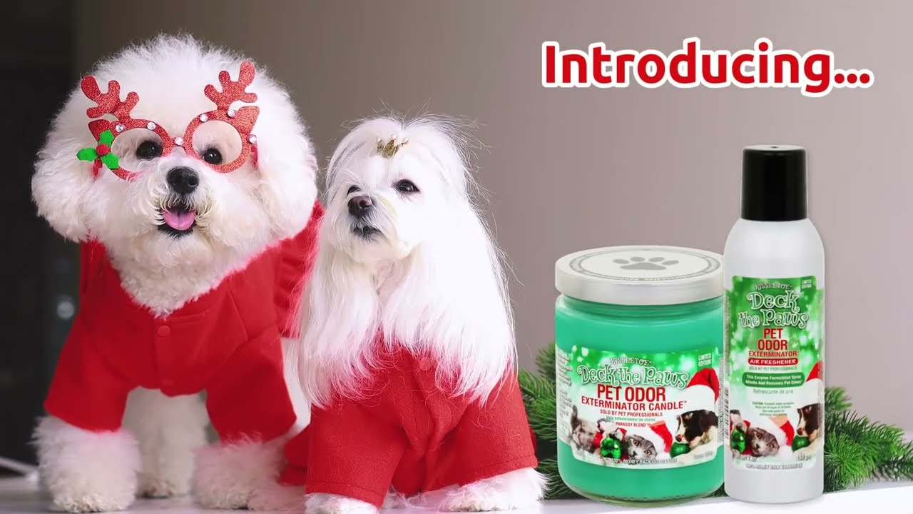 Specialty Pet Products, LLC | Deck the Paws Jar Candle Specialty Pet Products, LLC | Deck the Paws Jar Candle