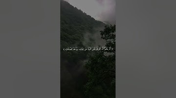 تلاوة من سورة التوبة (١٠٠ - ١٠٦) للقارئ ماجد مصطفى
