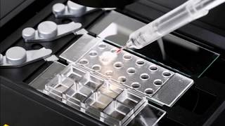 Catching Protists with MMI CellEctor