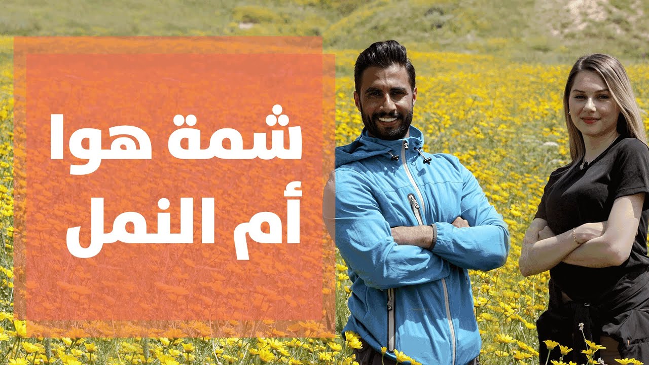 ليست أرض التيليتابيز.. إنها سهول وجبال ام النمل بالمملكة الأردنية الهاشمية - شمة هوا