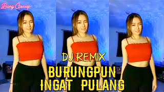 BURUNGPUN INGAT PULANG FULL BASS GOYANG || #remixtembangkenangan #djtiktokviral #bangoecoep