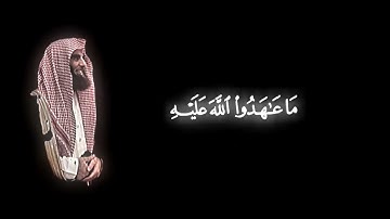 القارئ محمد اللحيدان سورة الأحزاب [٢٢-٢٤] #youtube #قران #فلسطين #فيديو
