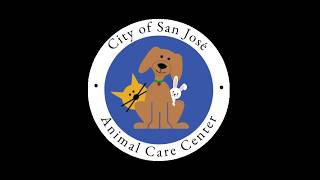 Community Forum- July 29- Shelter Intake