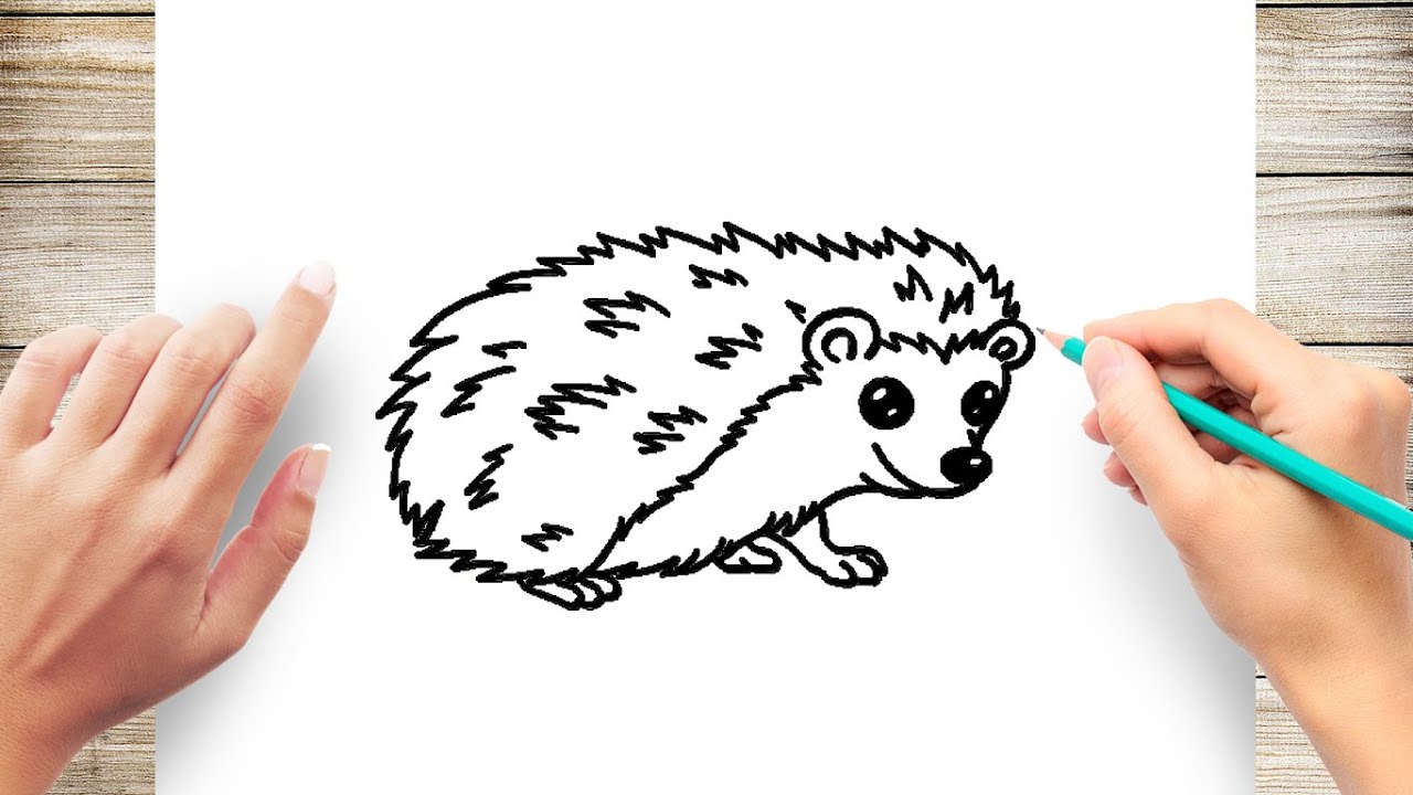 How to Draw A Porcupine Step by Step - YouTube