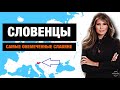 СЛОВЕНЦЫ - “НЕМЦЫ В СЛАВЯНСКОЙ ШКУРЕ”???