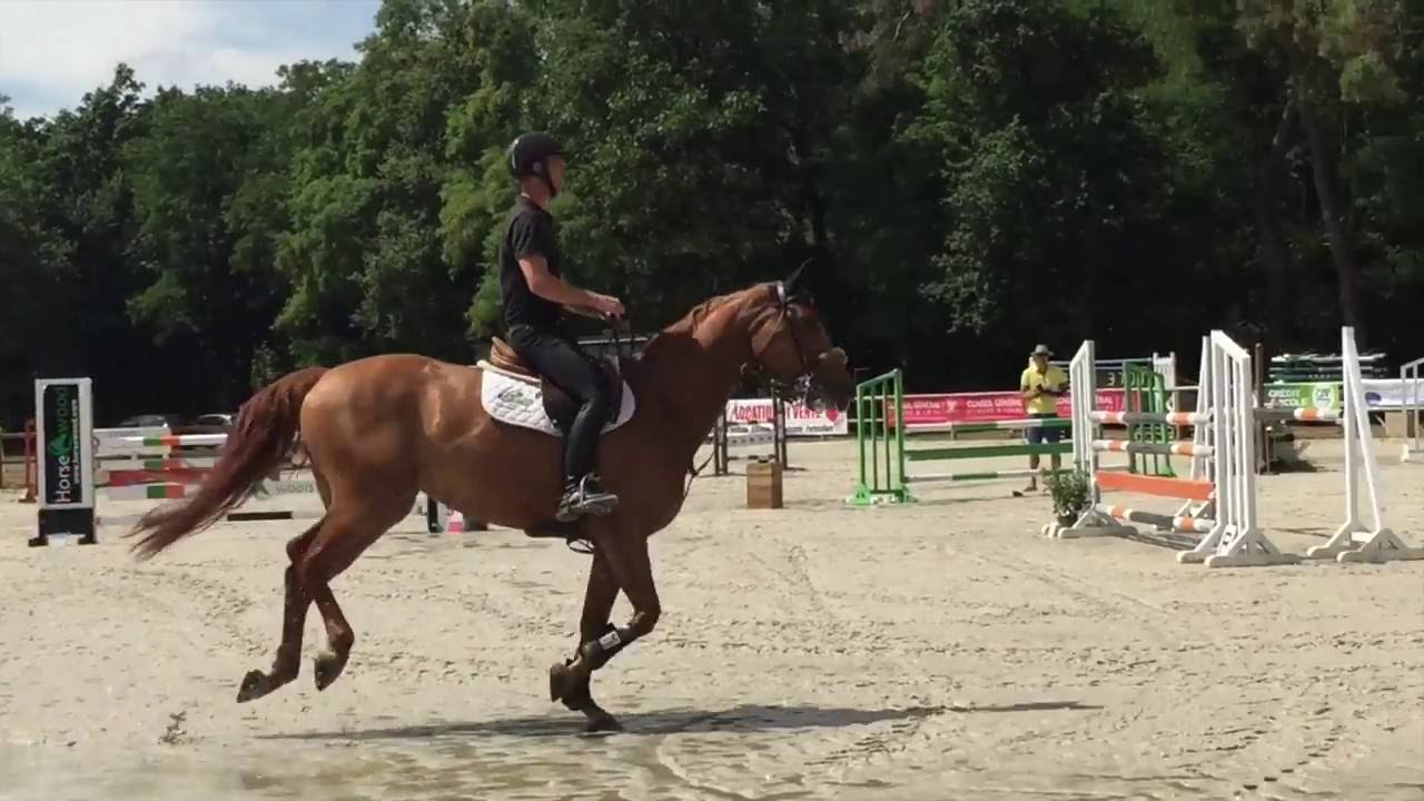 Maxime Mercier- Toutella