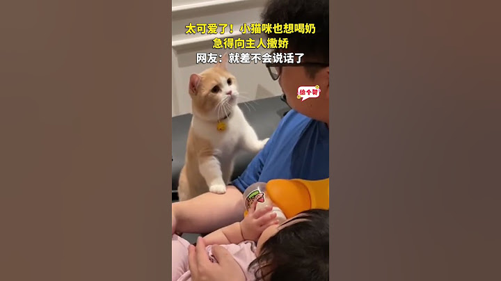 社会百态 | 太可爱了！小猫咪也想喝奶，急得向主人撒娇。网友：就差不会说话了。