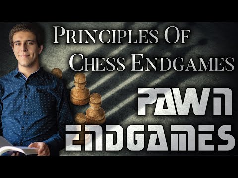 Principles of Chess Endgames