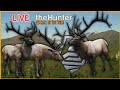 (live)A New Grind begins!Grinding for 2 Diamond Rocky Mountain Elk!|theHunter Call Of The Wild