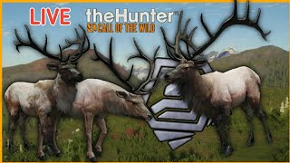 (live)A New Grind begins!Grinding for 2 Diamond Rocky Mountain Elk!|theHunter Call Of The Wild