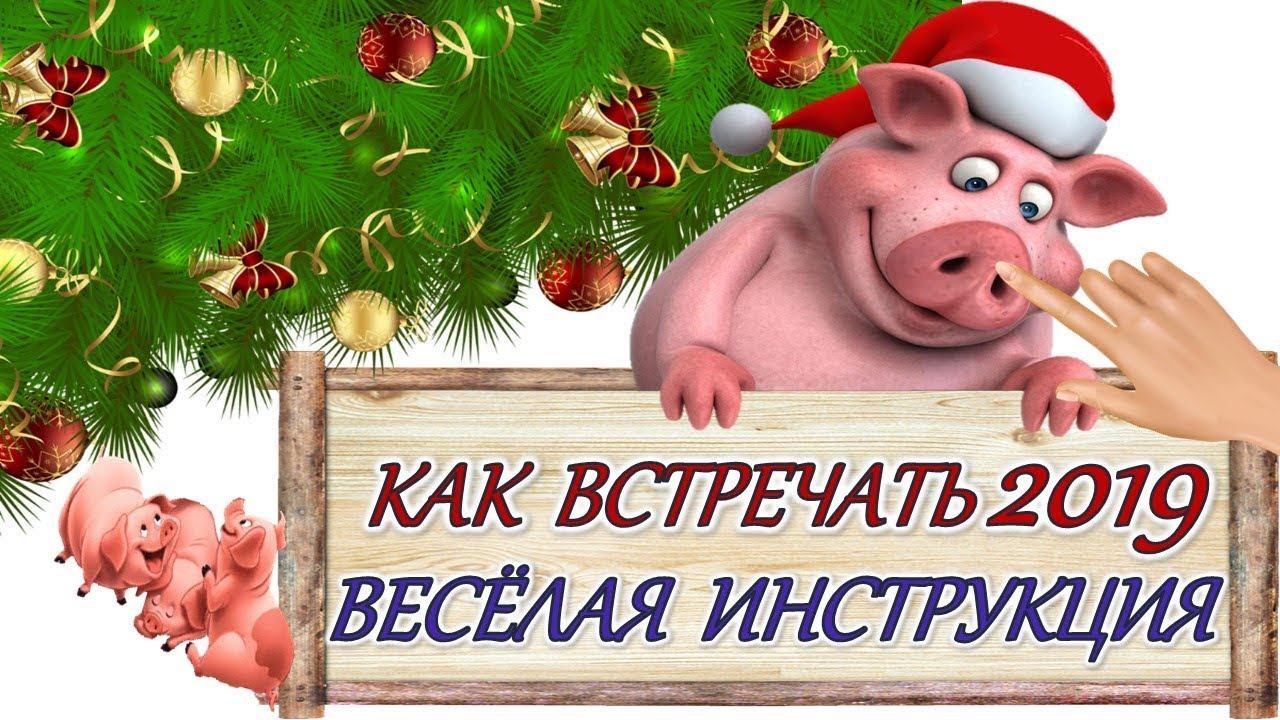 2019 год - Улетные приколы на новый год 2019 2019 год - Улетные приколы на Новый год 2019 - Год 2019