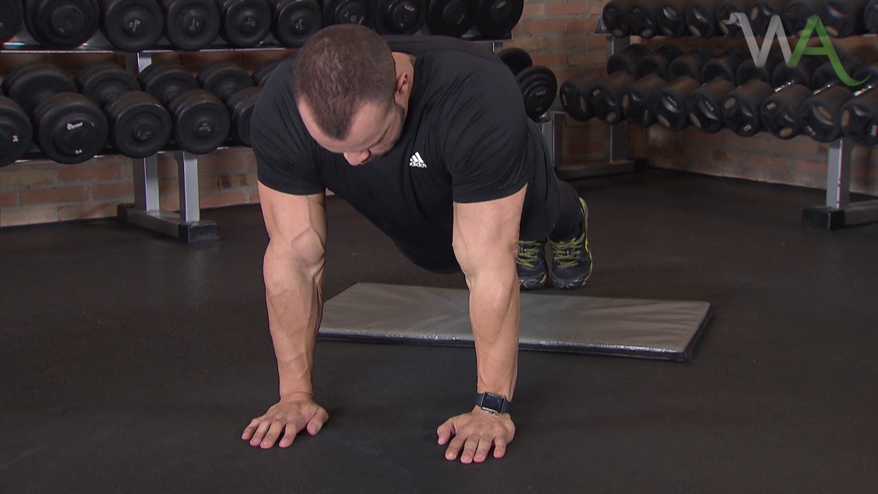 FLEXÃO DE BRAÇOS PARA TRÍCEPS