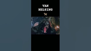 20 years on van helsing still has the best werewolf in movie/tv history! 🎥🐐🐺 #vanhelsing#werewolf