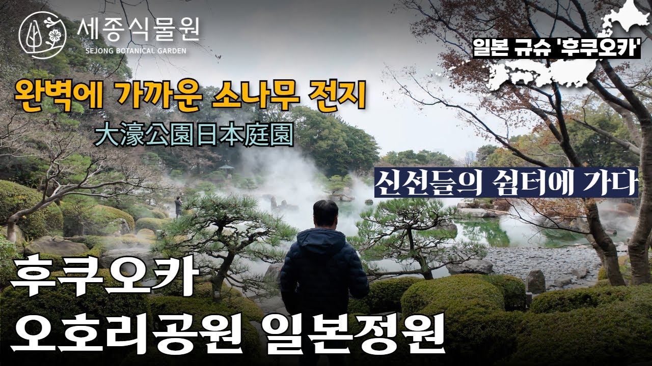 일본정원! 구름바다에서 멋진 예술작품 소나무를 만나다. 후쿠오카 오호리공원 /세종식물원