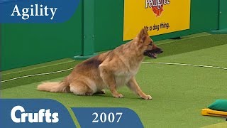 ABC Agility Final from Crufts 2007 | Crufts Classics