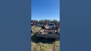 Little behind the scenes of unloading logs we picked up. #epoxywoodworking #sawmilling