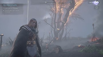 Mystery of the Cursed Place in Cent | Assassin