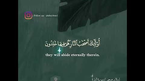 إسلام صبحي | تلاوة جميلة | حالات واتس | سورة البقرة 🖤