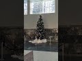 Різдвяна ялинка на бюветі у Трускавці #львівдепо #трускавець #truskavets #truskawiec