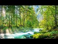 Peaceful music for inner harmony  soothe your nerves and heal your heart