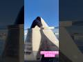 パフォーマンス前のステラさん　2026.5.19 15:45 #神戸須磨シーワールド#オルカ#orca#ステラ#Stella#無断転載禁止