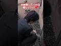 お風呂掃除をがんばってくれる優しいパパ #お風呂掃除 #掃除 #掃除動画 #パパ #家事