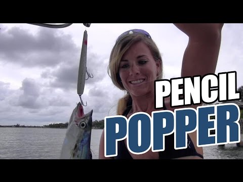 Pencil Poppers Fishing With LTB Tips