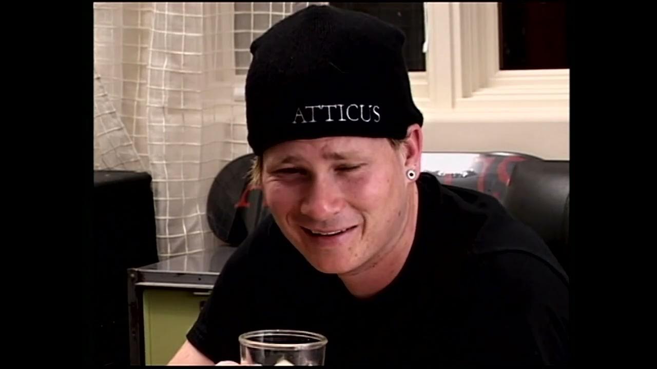 blink182 Urethra Chronicles II Harder, Faster, Faster Harder