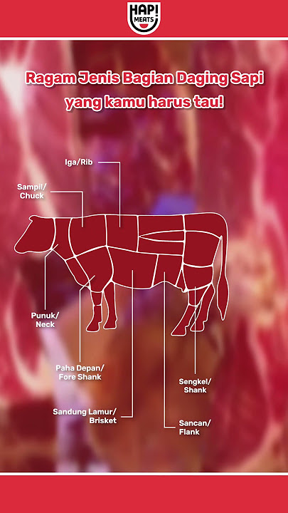 Yuk kenali bagian jenis dagin sapi! #Hapmeats
