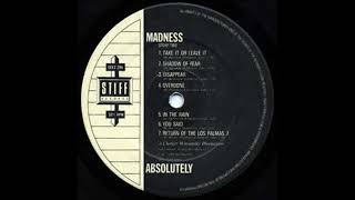 Shadow Of Fear - Madness