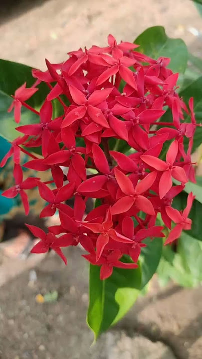 kakkum karangal undanku kathuduvar Karunaiyala ....
