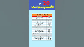 20 من أنواع الأعشاب و فوائد استخدامها أعشاب وعلاجات اعشاب طبيعية أعشابي 