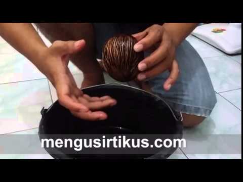 PENGUSIR TIKUS PENGUSIR TIKUS