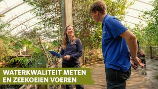 Meehelpen In De Mangrove Burgers Zoo Achter De Schermen