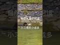 自然 × 原子习惯:从水獭到蜗牛,大自然教我的好习惯秘诀