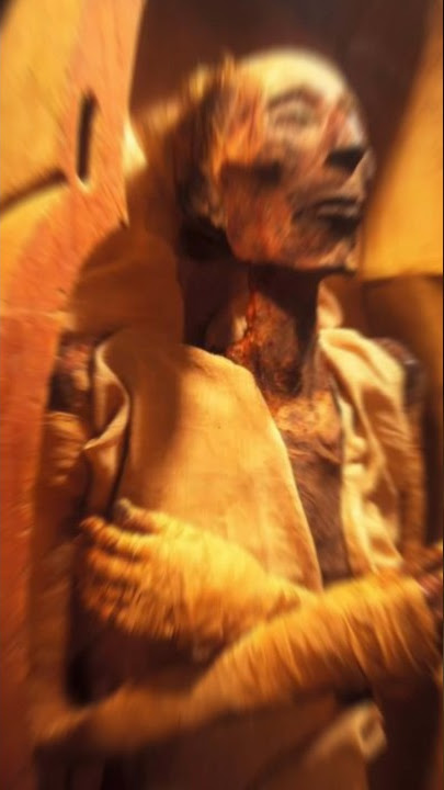 The face of firawn #shorts #egypt #mummy #muslim #documentary #story #islam #history #humor