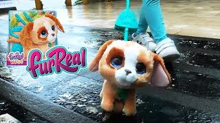 Anjing Mainan Lucu - Furreal Friends Dog Walkalots