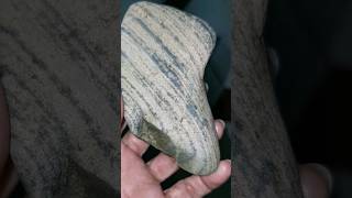 GNEISS STONE #shortvideo #stone