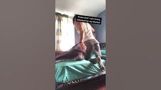 Here is how the dog responded? tiktok rodo.dodo #Shorts
