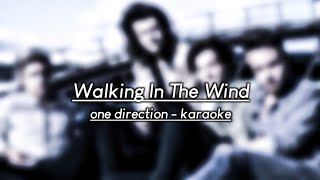 ONE DIRECTION KARAOKE - WALKING IN THE WIND
