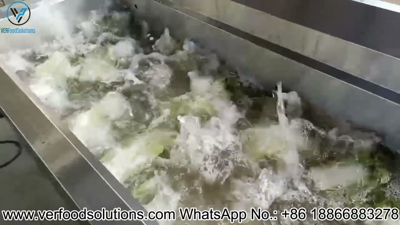 Vegetable Cucumber Kale Collard Greens 3m Ozone Bubble Fruit Vegetable Washing Machine